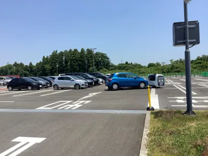 Kazino Spice Bingo Mobilioji programa